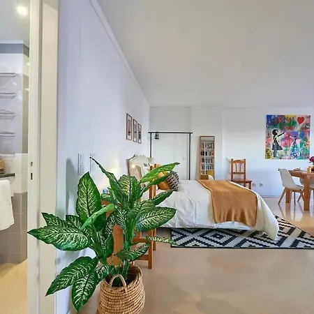 Modern With Garage And Pool *