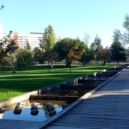 Modern With Garage And Pool *